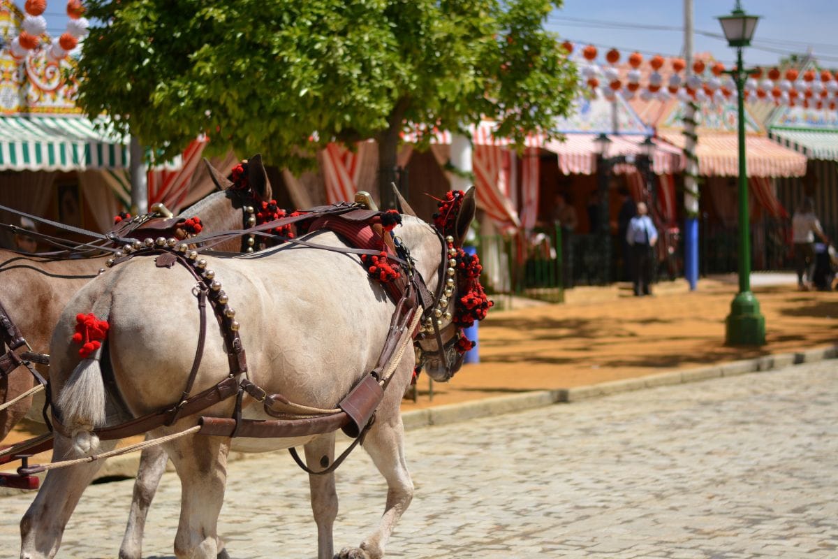 Seville April Fair 2025