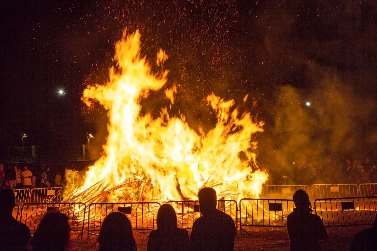 Bonfires of the Night of San Juan 2025 (Alicante)